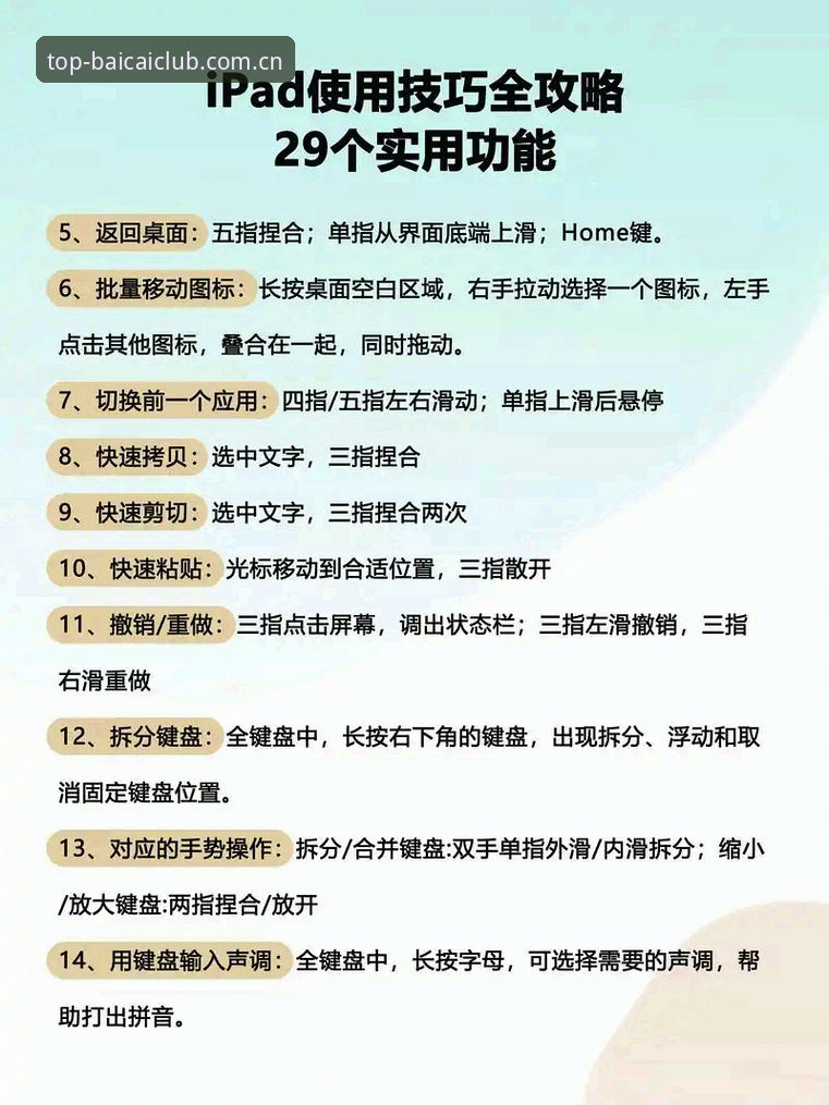 冠军白菜平台使用指南详解：从入门到精通