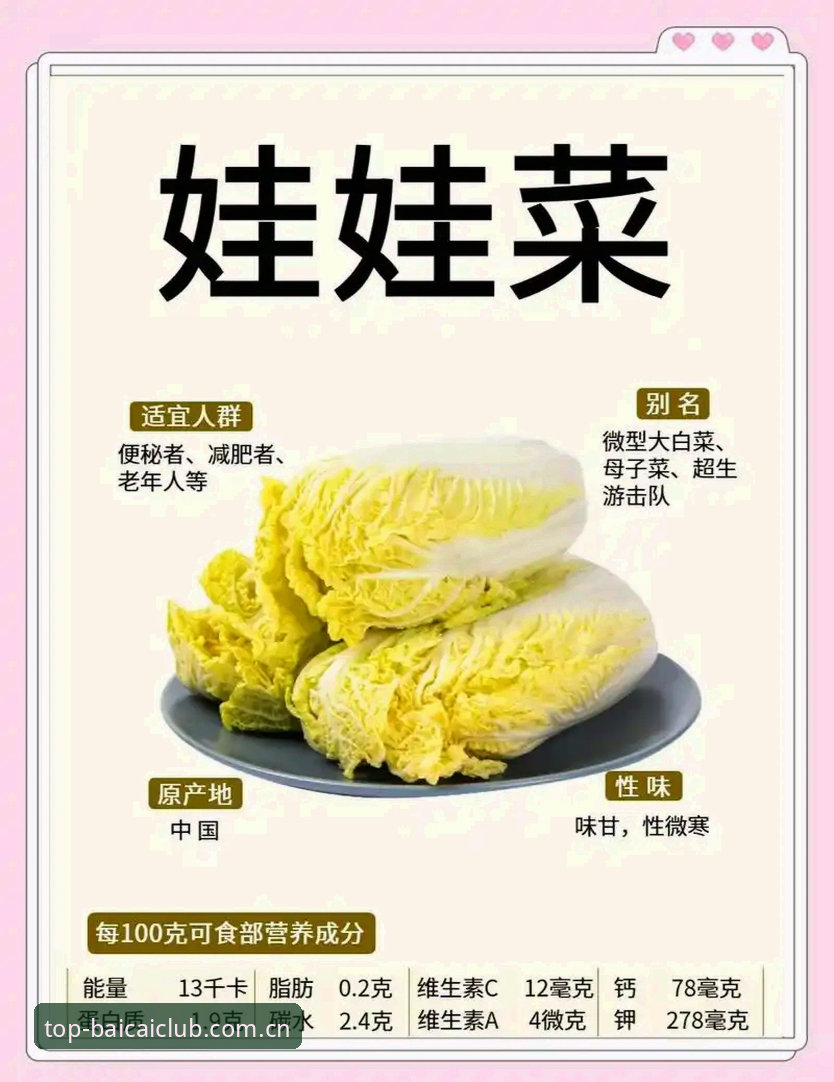 冠军白菜平台品质服务评测选择指南：从下载到实战的完整攻略